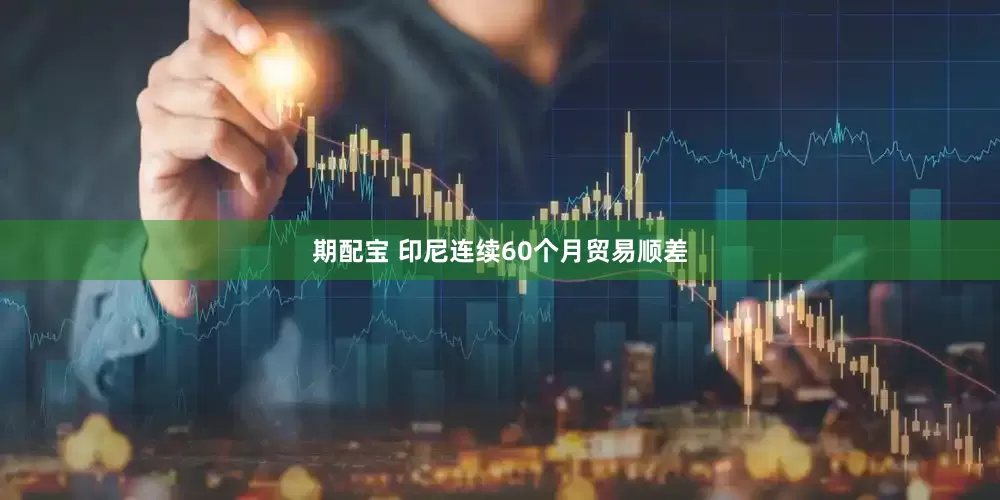 期配宝 印尼连续60个月贸易顺差