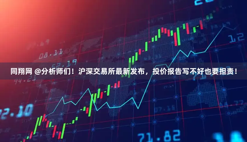 同翔网 @分析师们！沪深交易所最新发布，投价报告写不好也要担责！