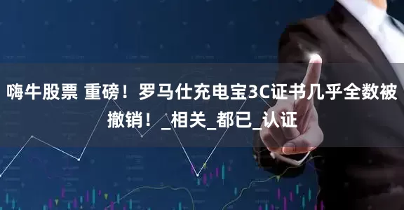 嗨牛股票 重磅！罗马仕充电宝3C证书几乎全数被撤销！_相关_都已_认证
