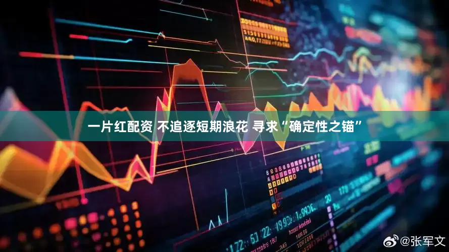 一片红配资 不追逐短期浪花 寻求“确定性之锚”