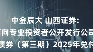 中金辰大 山西证券: 2022年面向专业投资者公开发行公司债券(第三期)2025年兑付兑息暨摘牌公告