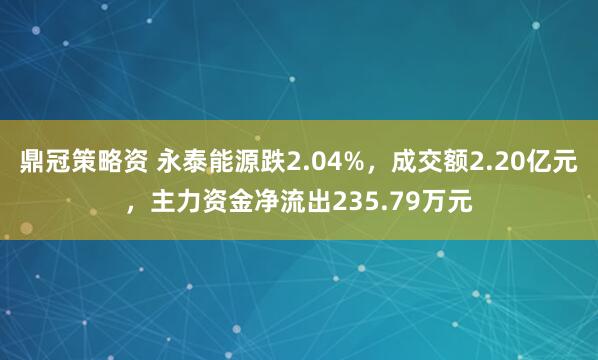 鼎冠策略资 永泰能源跌2.04%，成交额2.20亿元，主力资金净流出235.79万元
