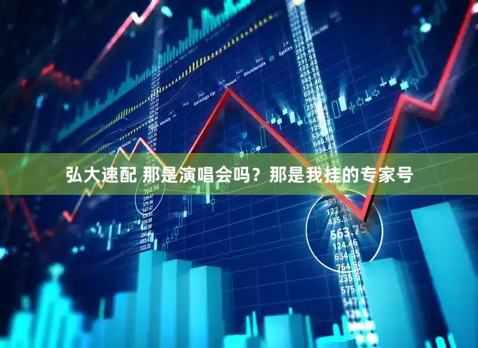 弘大速配 那是演唱会吗？那是我挂的专家号