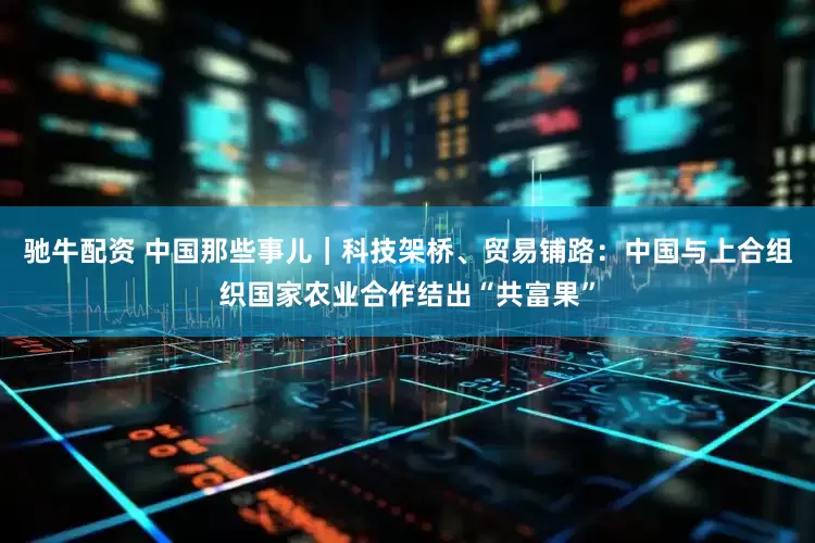 驰牛配资 中国那些事儿｜科技架桥、贸易铺路：中国与上合组织国家农业合作结出“共富果”