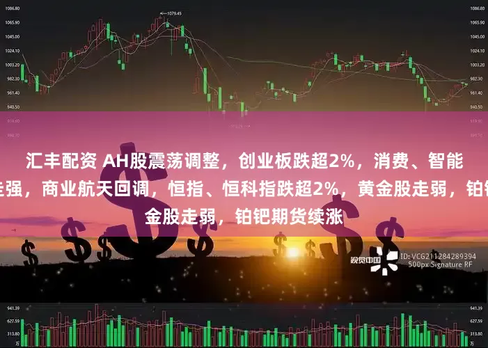 汇丰配资 AH股震荡调整，创业板跌超2%，消费、智能驾驶逆势走强，商业航天回调，恒指、恒科指跌超2%，黄金股走弱，铂钯期货续涨